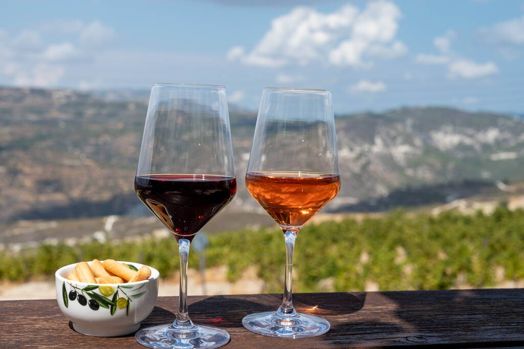 Tasting of red and rose dry wine