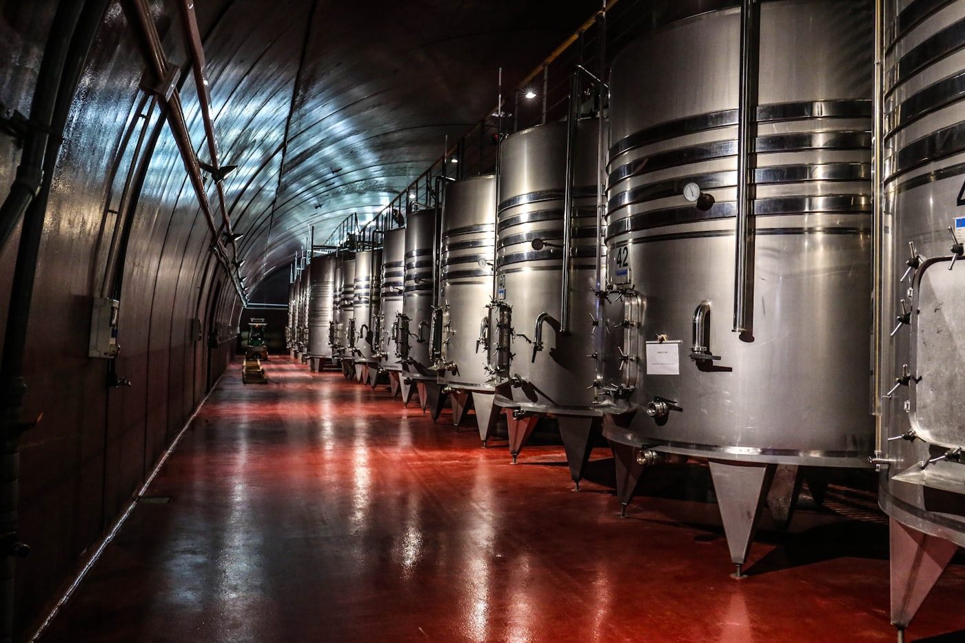 Wine Making plants